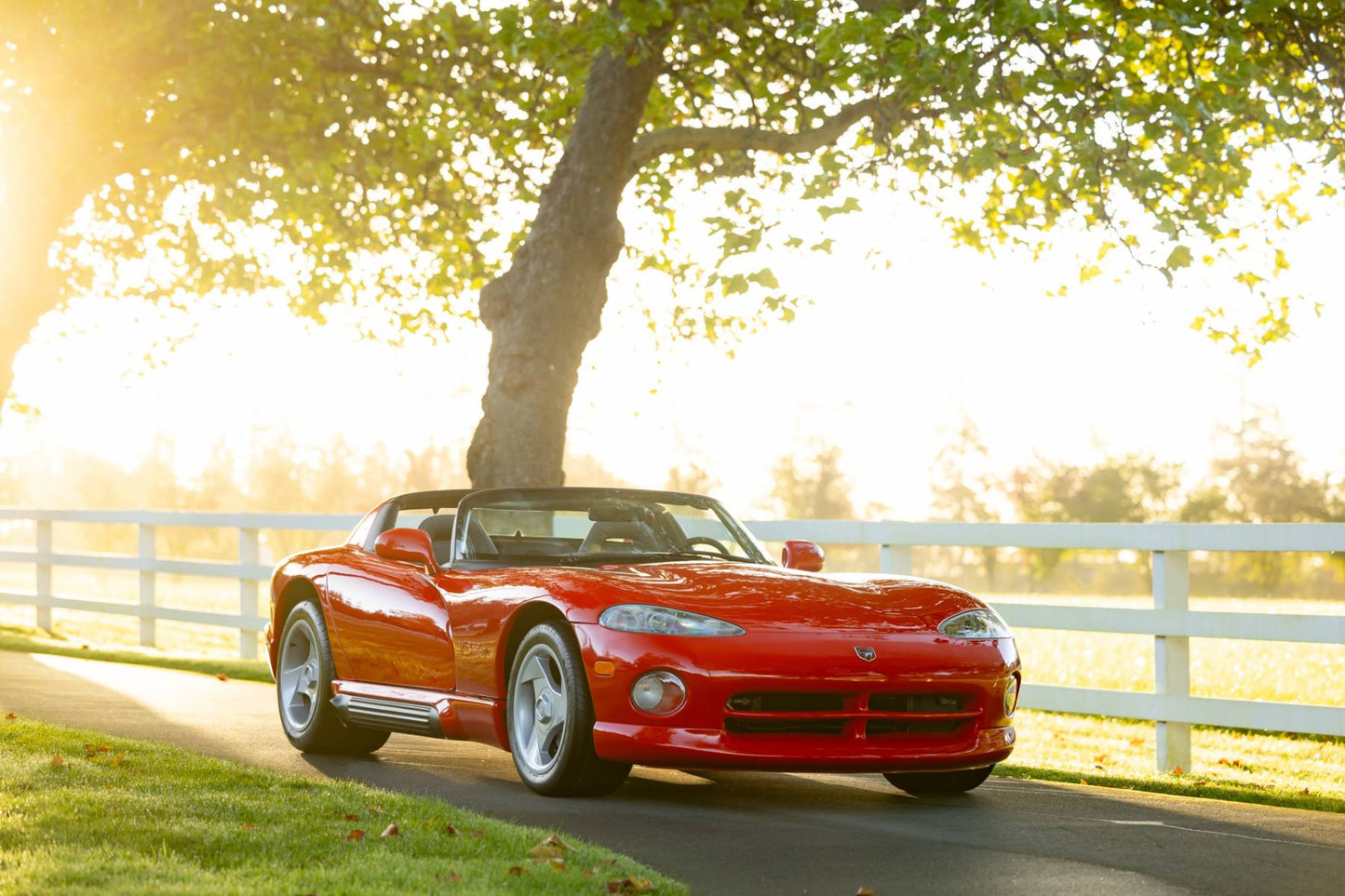 1992 Dodge Viper RT/10