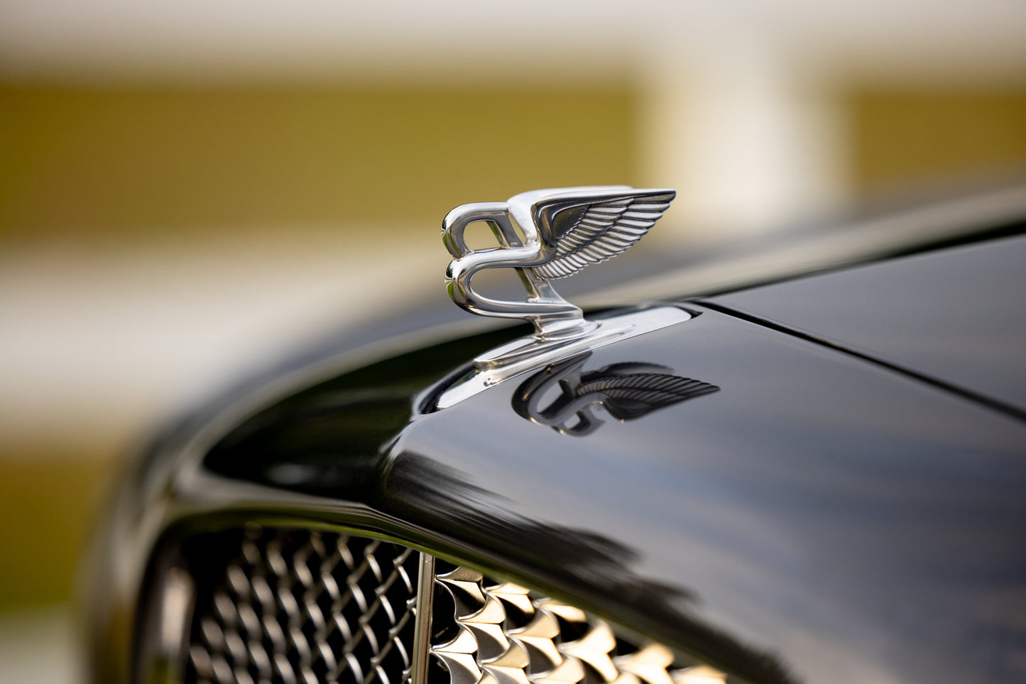 2009 Bentley Azure