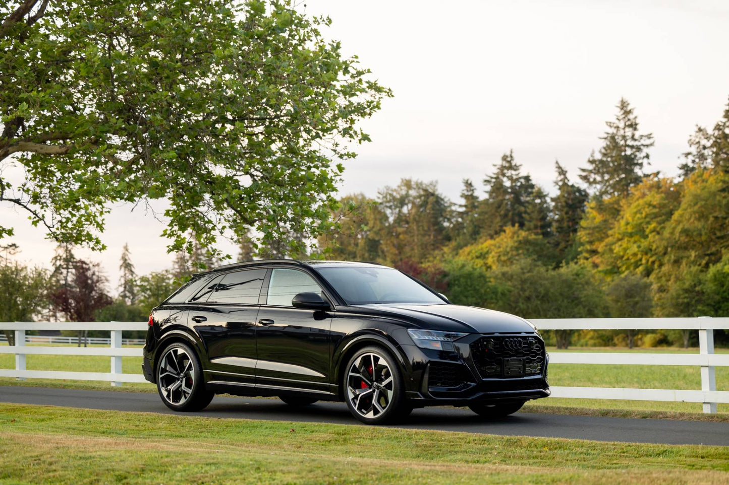 2021 Audi RS Q8