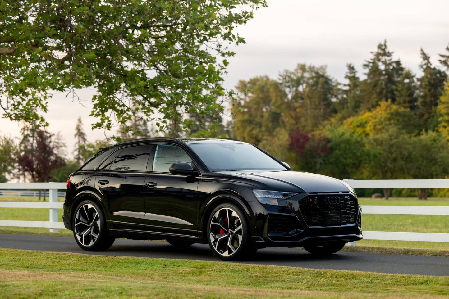 2021 Audi RS Q8
