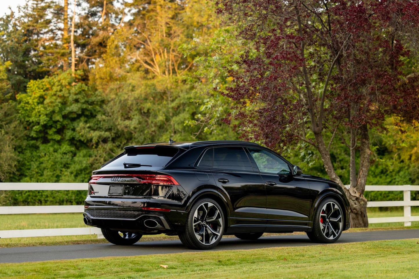 2021 Audi RS Q8