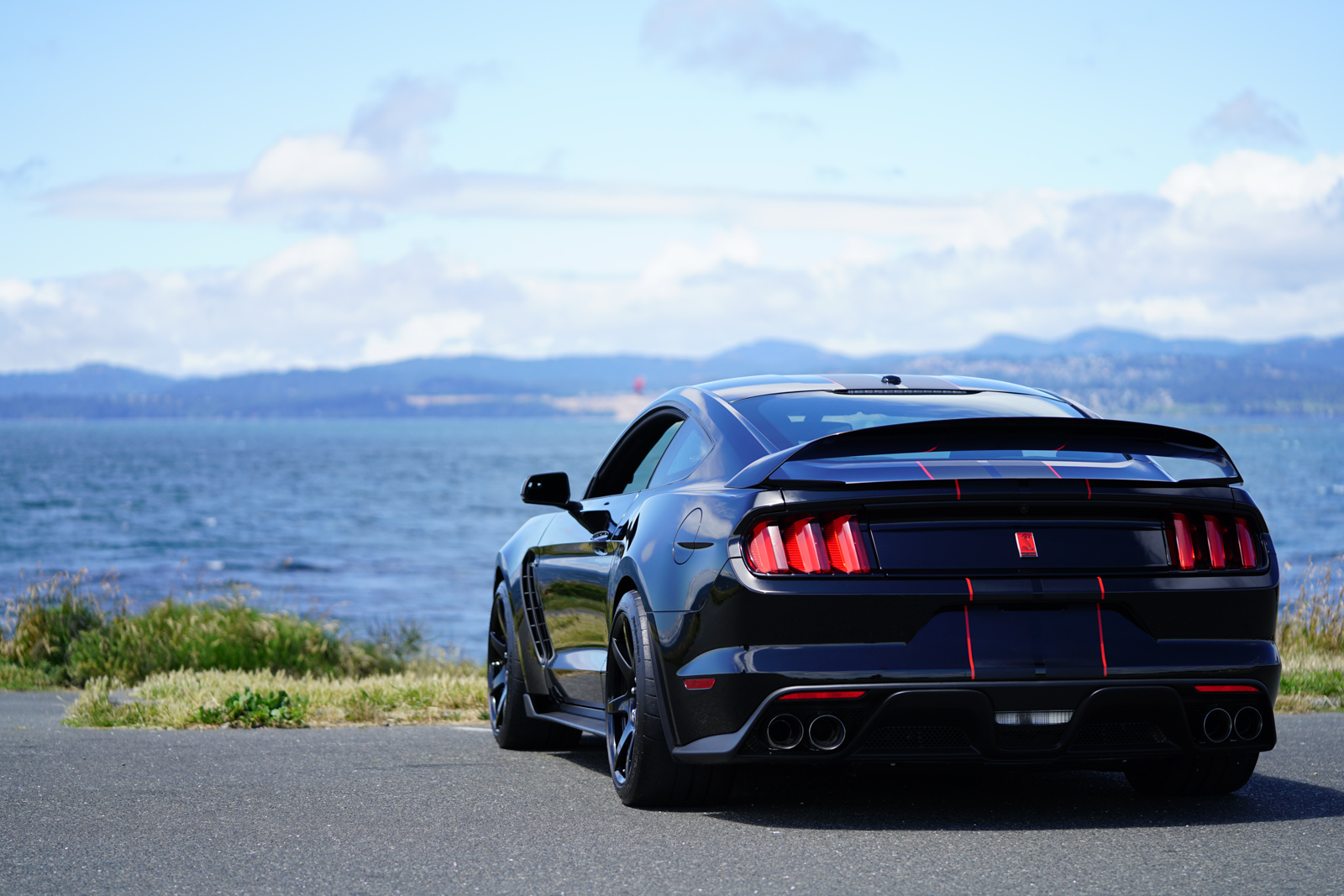 Ford Mustang gt сзади