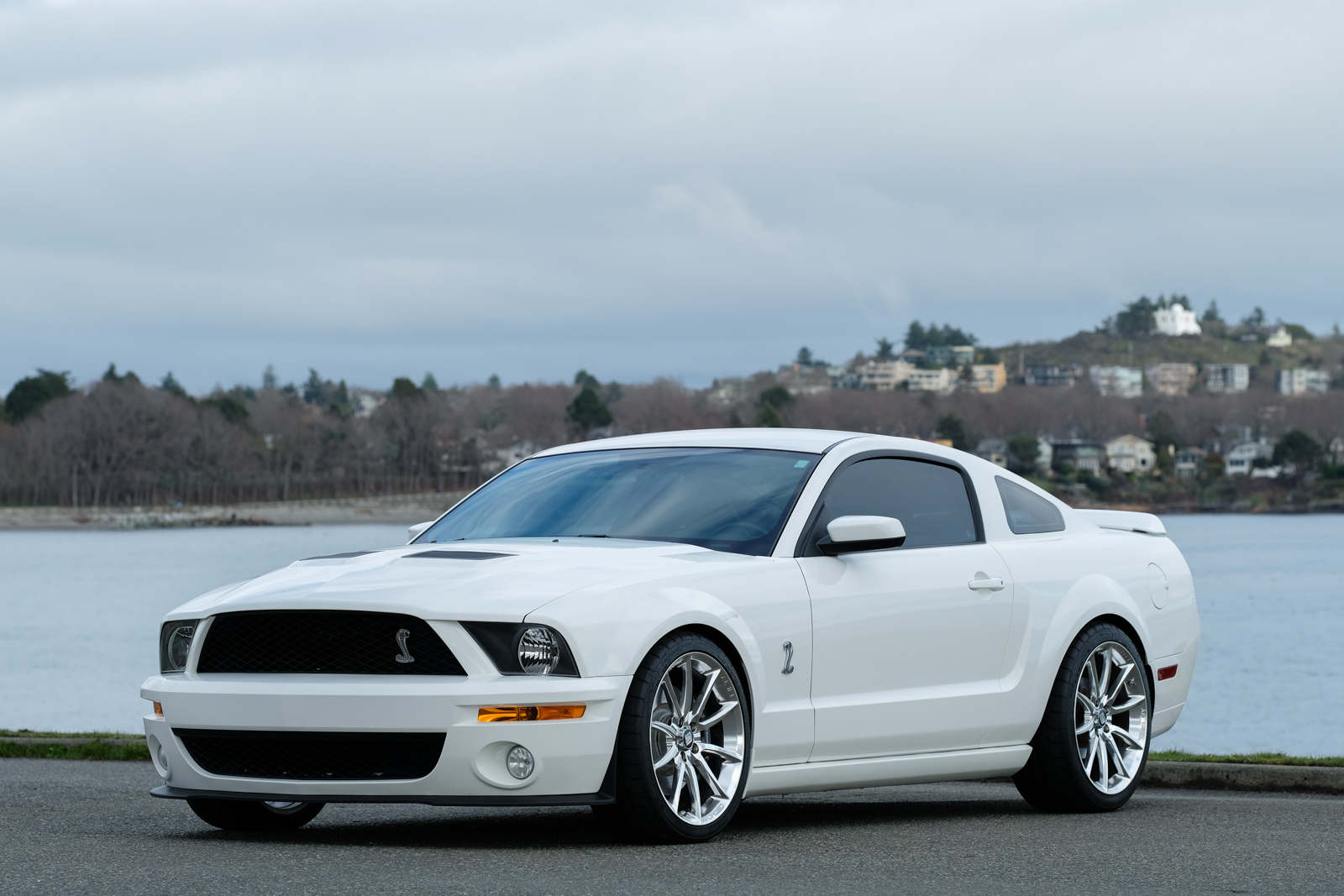 2007 Ford Mustang Shelby Gt500 Coupe Custom Silver Arrow