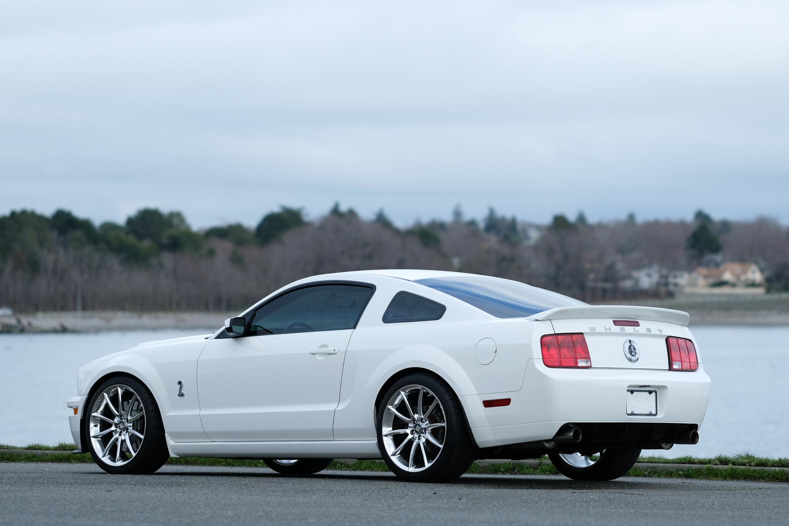 2007 Shelby GT500 105