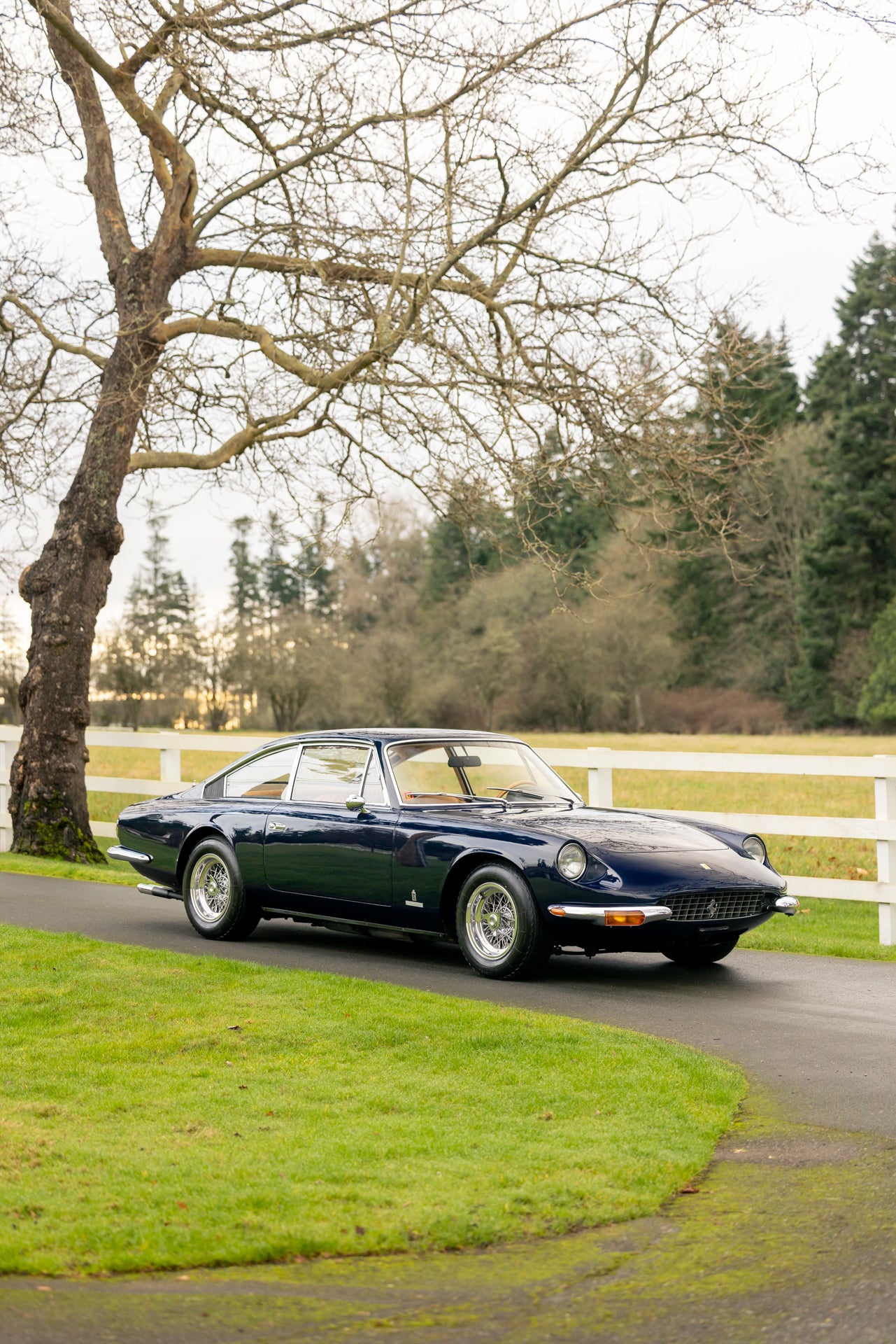 1968 Ferrari 365 GT 2+2