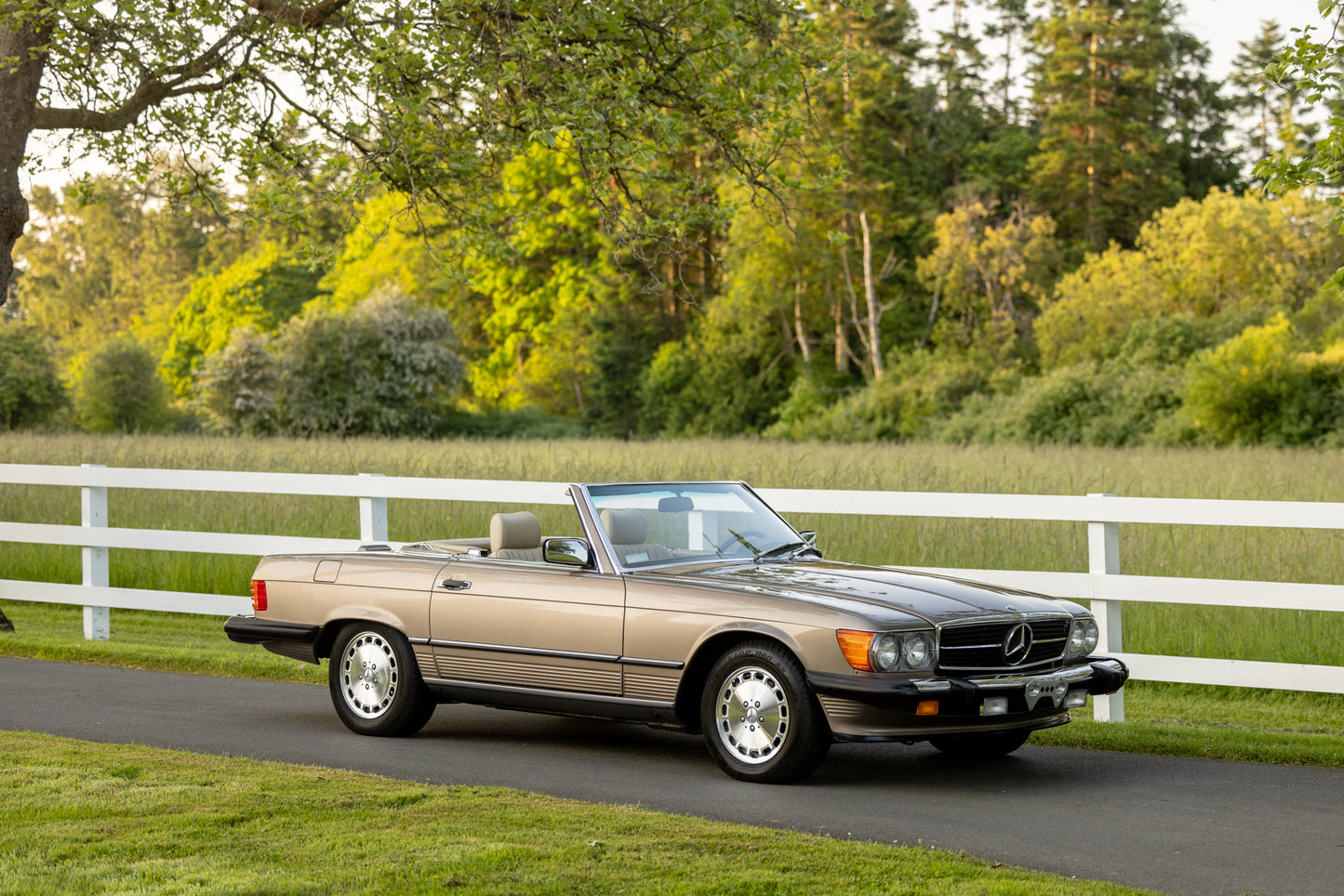 1988 Mercedes 560 SL