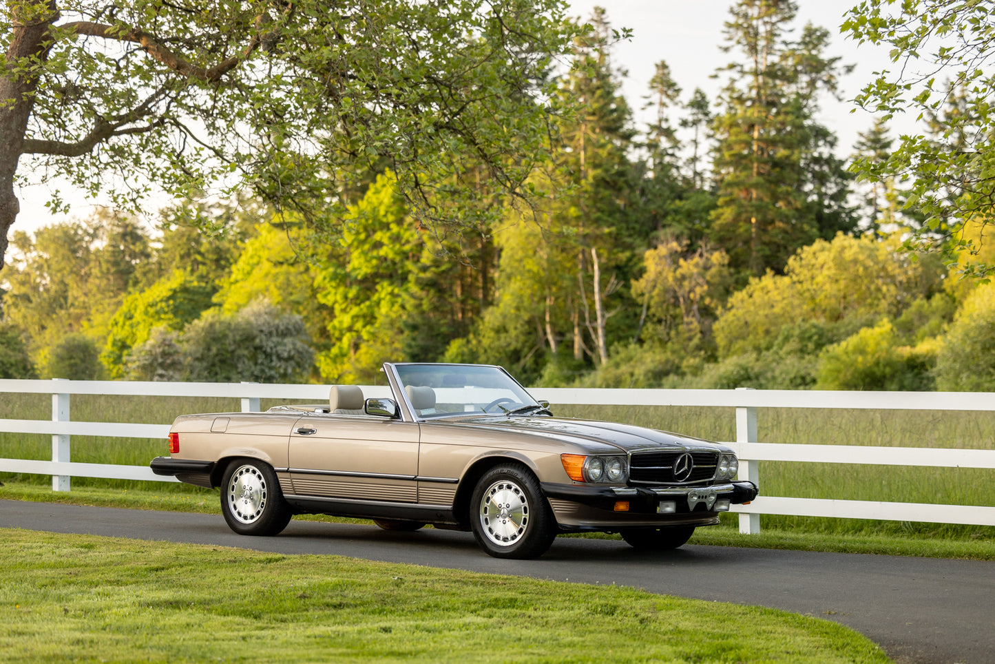1988 Mercedes 560 SL