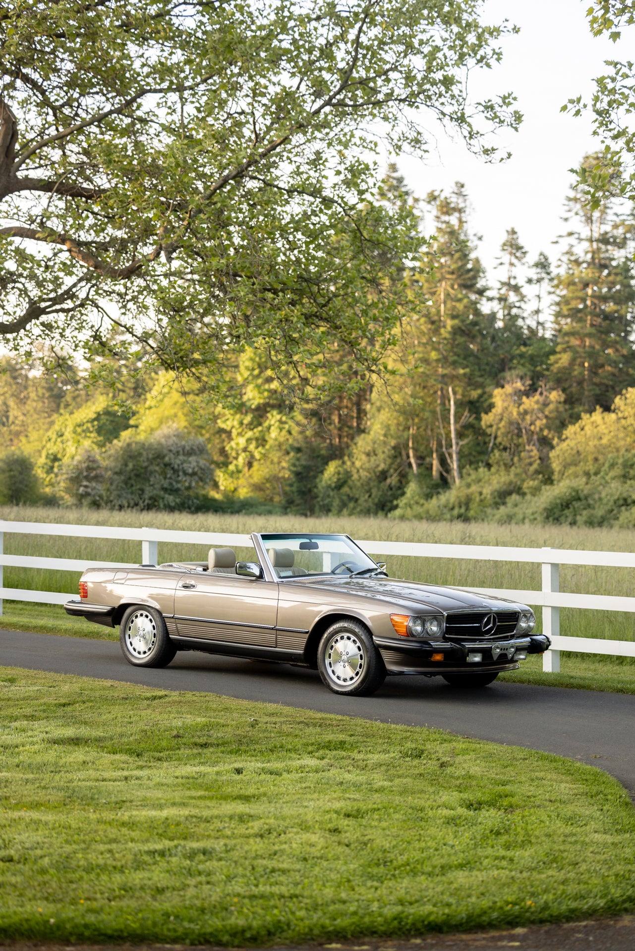 1988 Mercedes 560 SL
