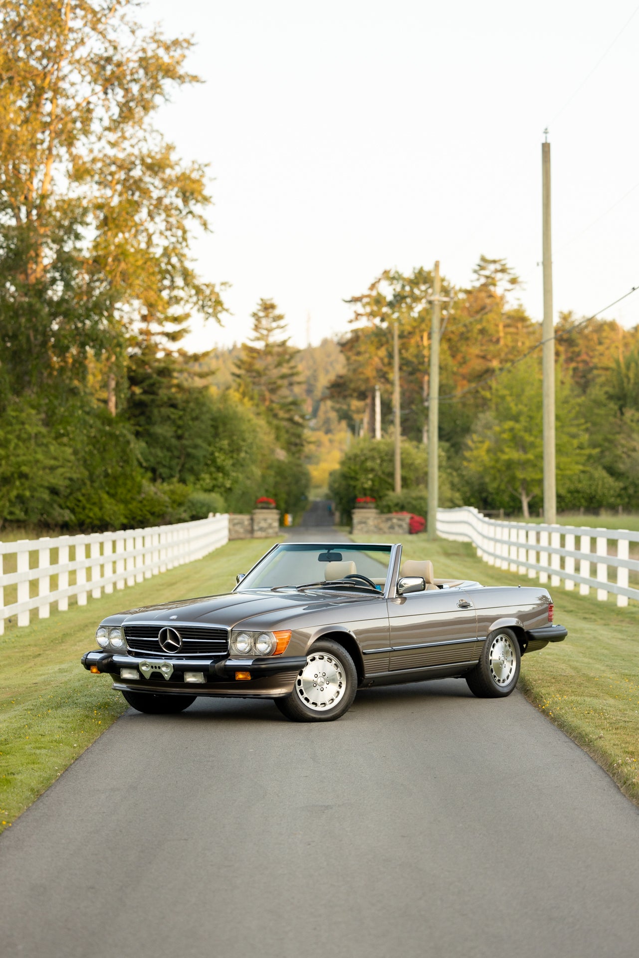 1988 Mercedes 560 SL