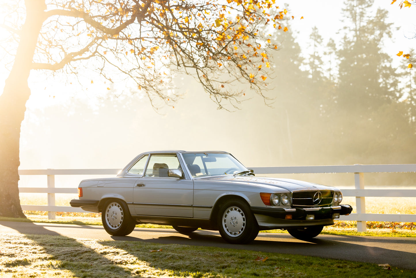 1988 Mercedes-Benz 560 SL