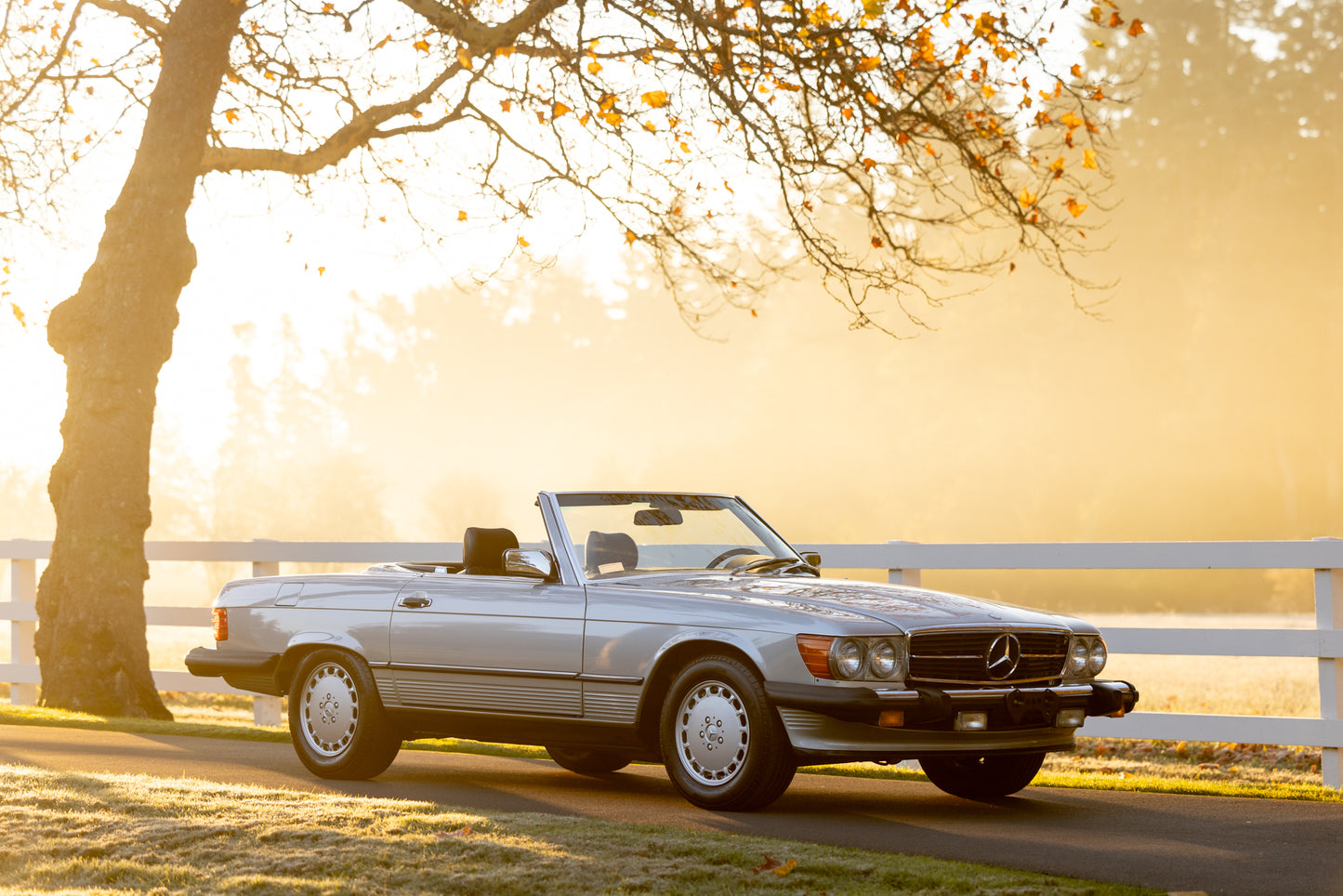 1988 Mercedes-Benz 560 SL