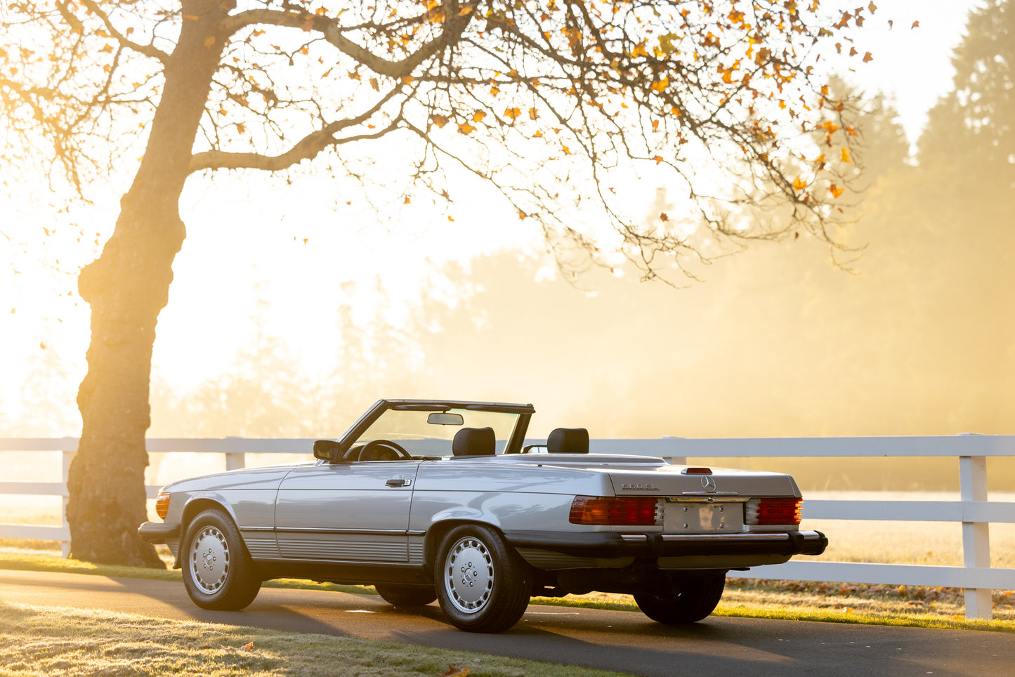 1988 Mercedes-Benz 560 SL
