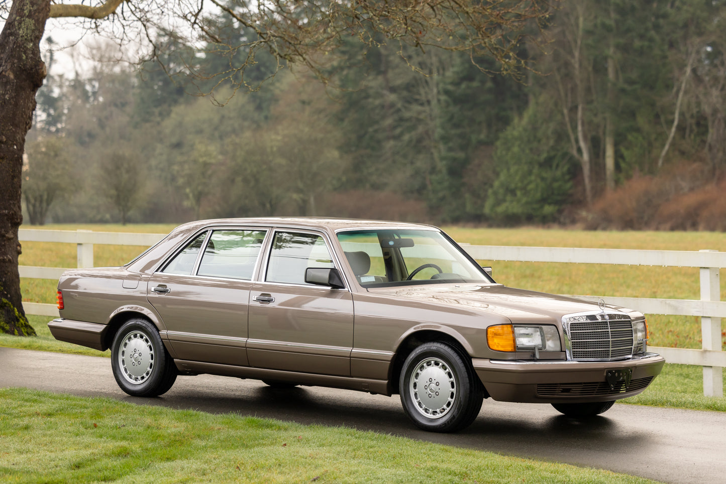 1989 Mercedes-Benz 560 SEL