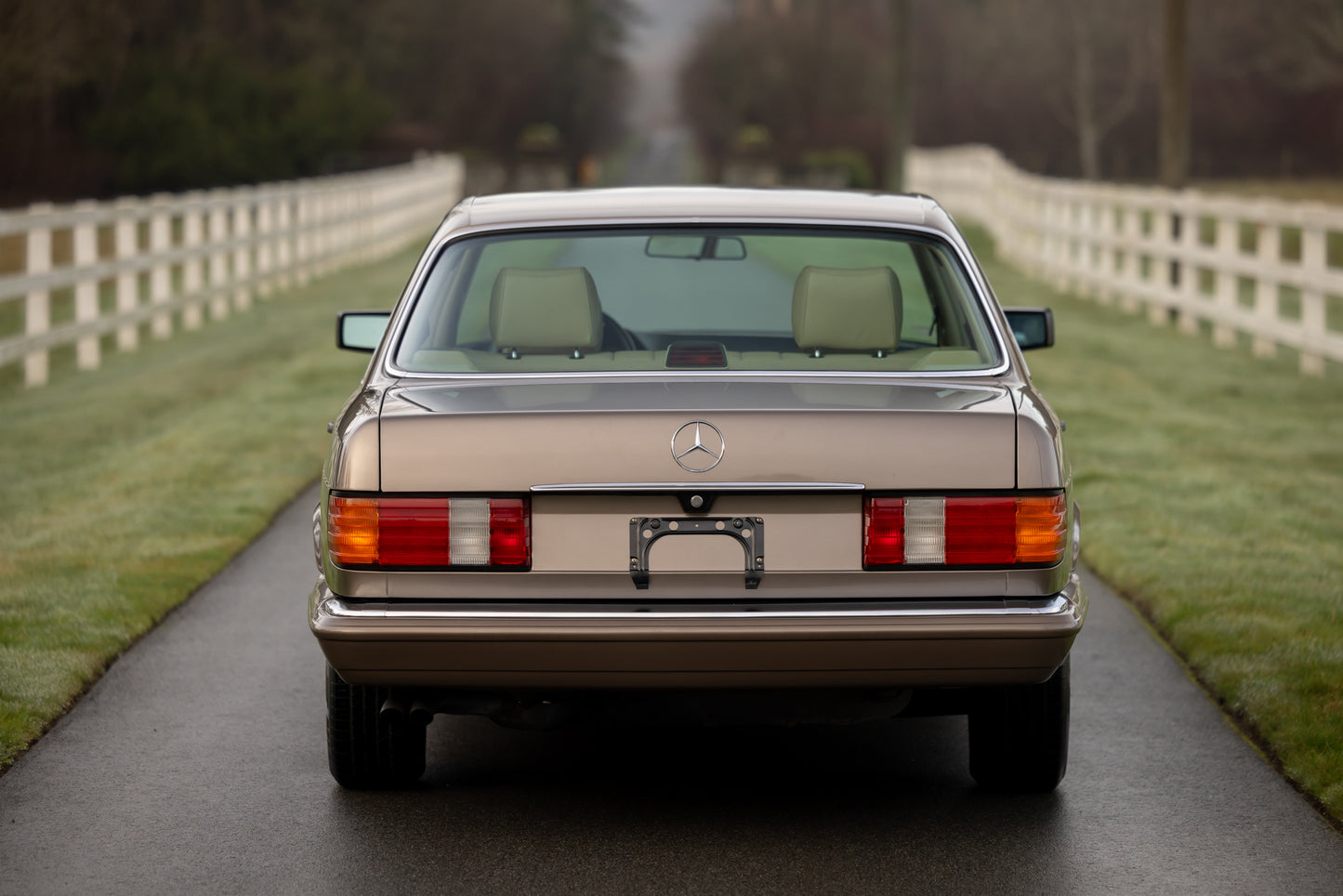 1989 Mercedes-Benz 560 SEL