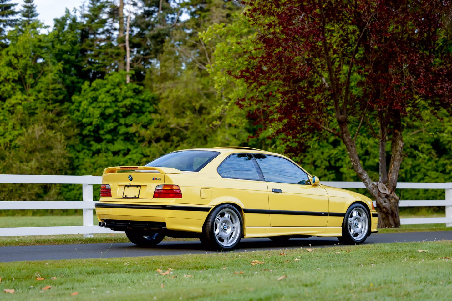 1994 BMW M3 Canadian Euro Spec #4/45