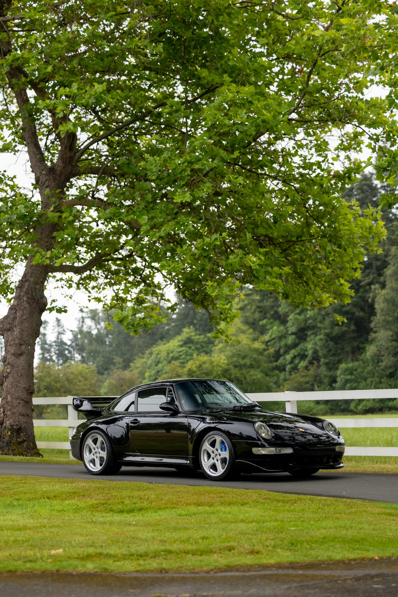1996 Porsche 911 4S 3.8 RSTribute