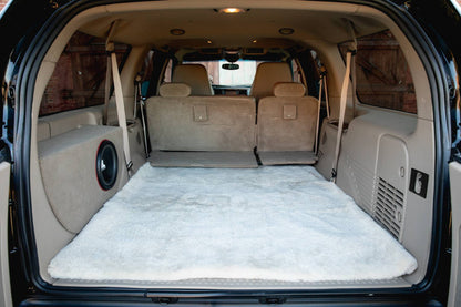 2004 Ford Excursion "Modified"