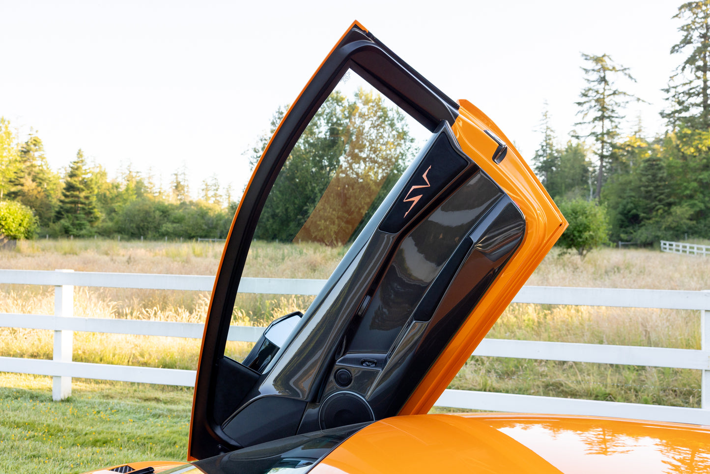 2010 Lamborghini Murcielago SV