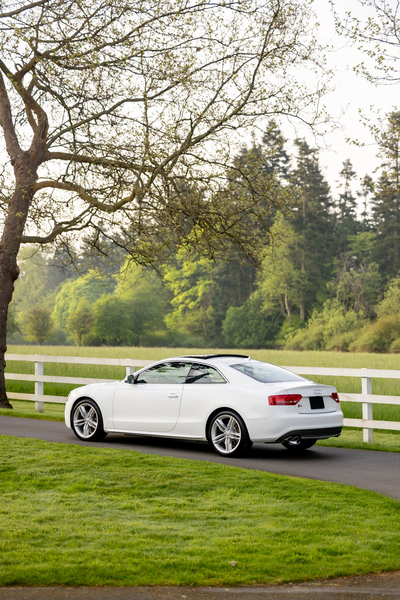 2010 Audi S5 6-Speed
