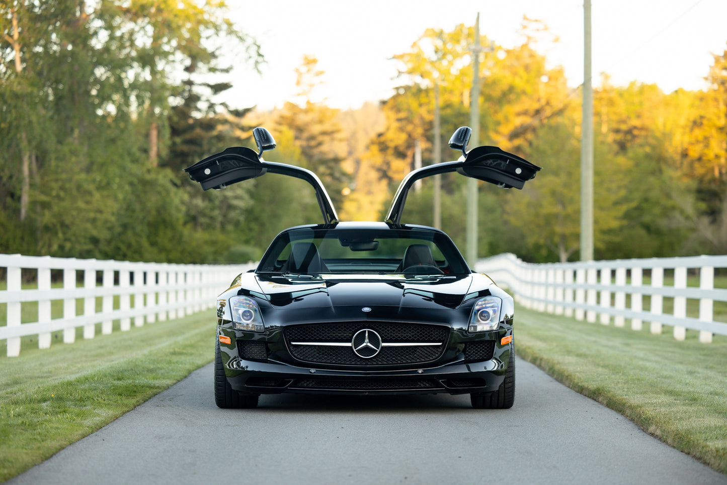 2013 Mercedes-Benz SLS AMG GT