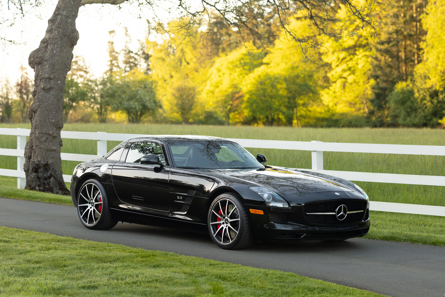 2013 Mercedes-Benz SLS AMG GT