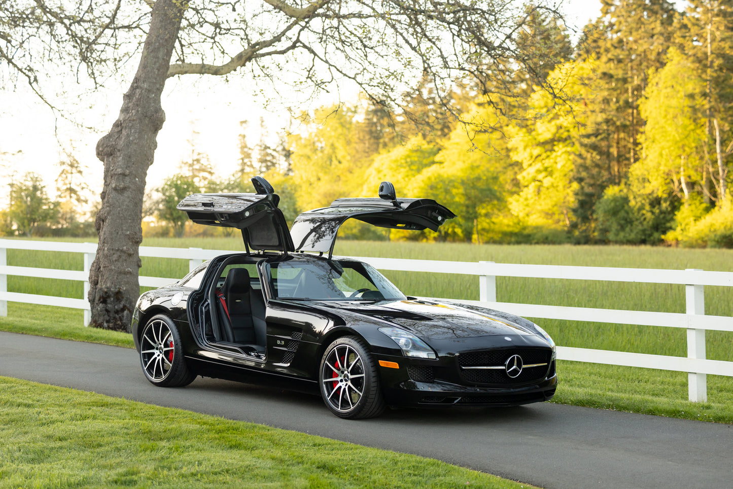 2013 Mercedes-Benz SLS AMG GT
