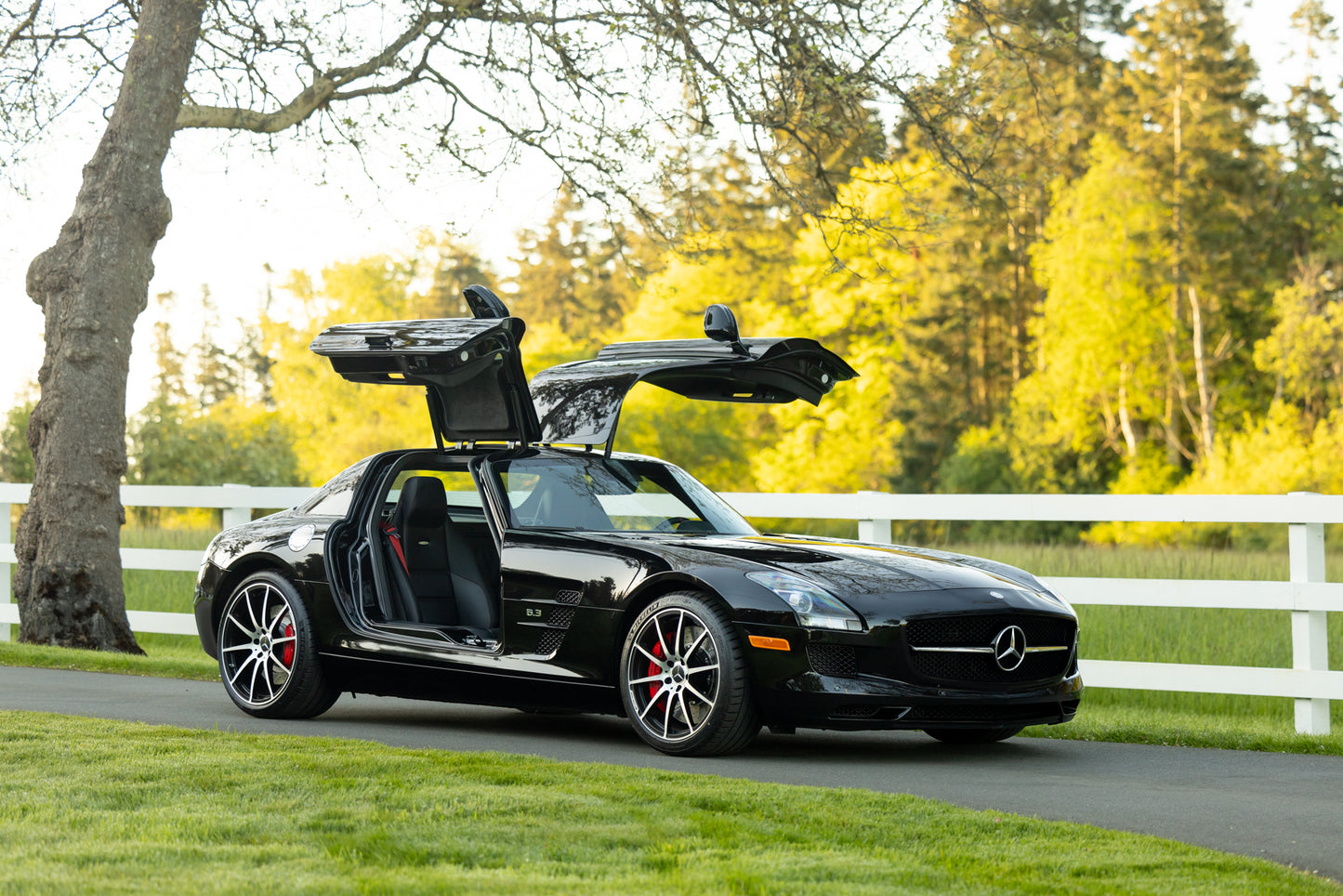 2013 Mercedes-Benz SLS AMG GT
