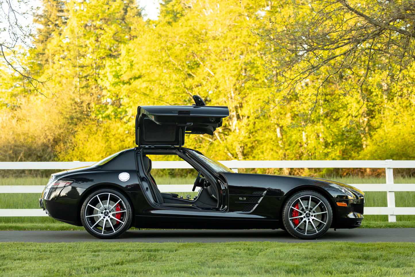 2013 Mercedes-Benz SLS AMG GT