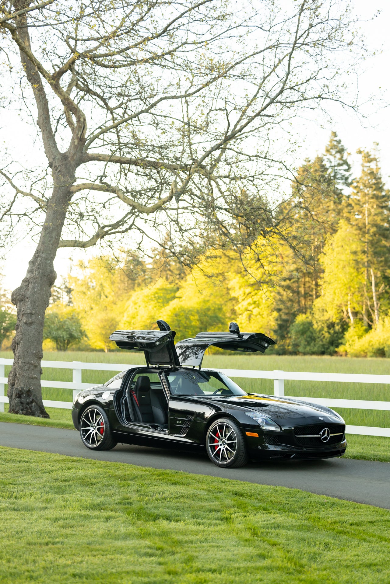 2013 Mercedes-Benz SLS AMG GT