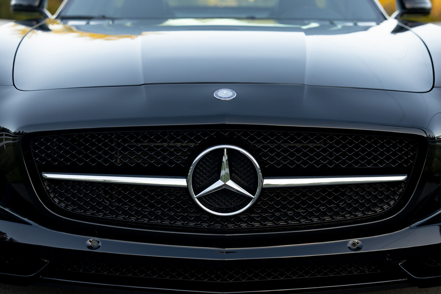 2013 Mercedes-Benz SLS AMG GT