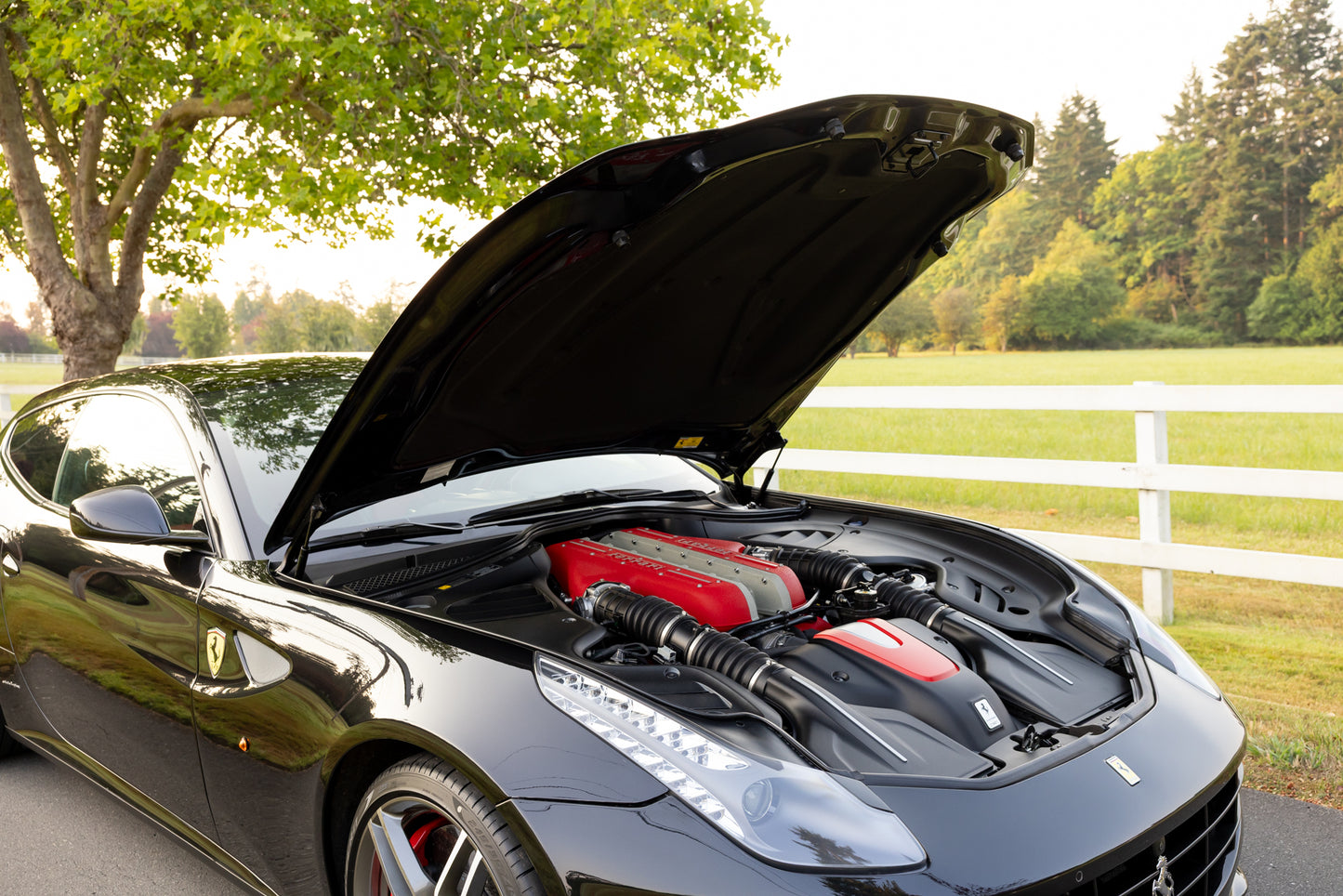 2016 Ferrari FF