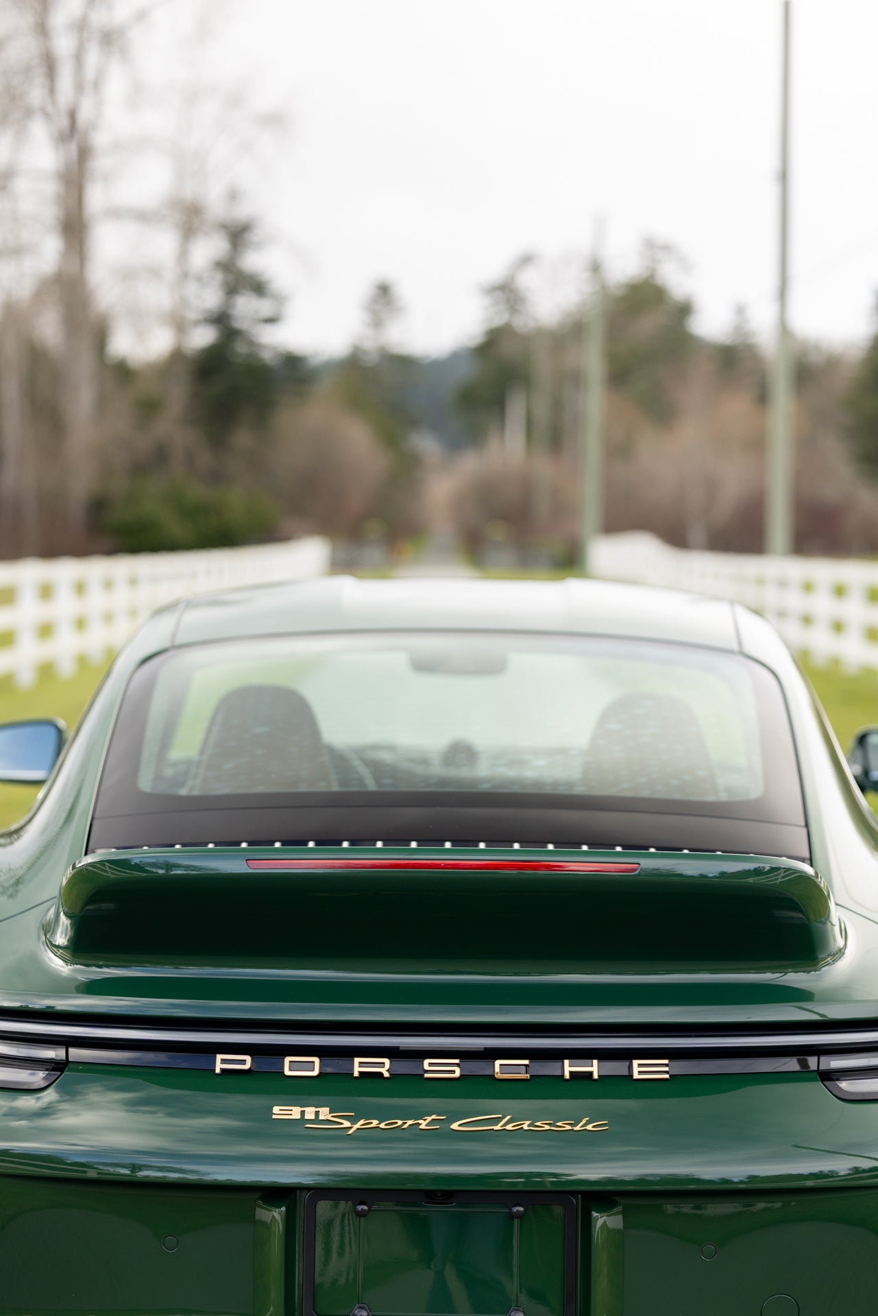 2023 Porsche 911 Sport Classic PTS Irish Green