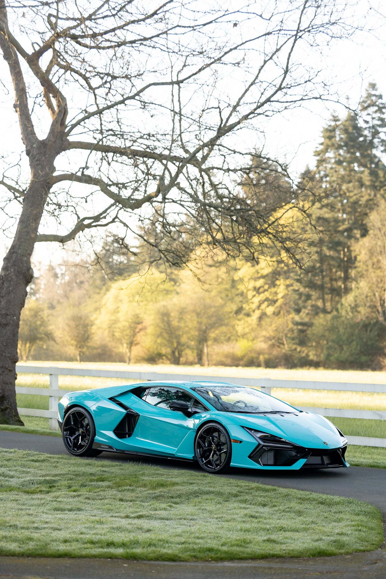 2025 Lamborghini Revuelto V12