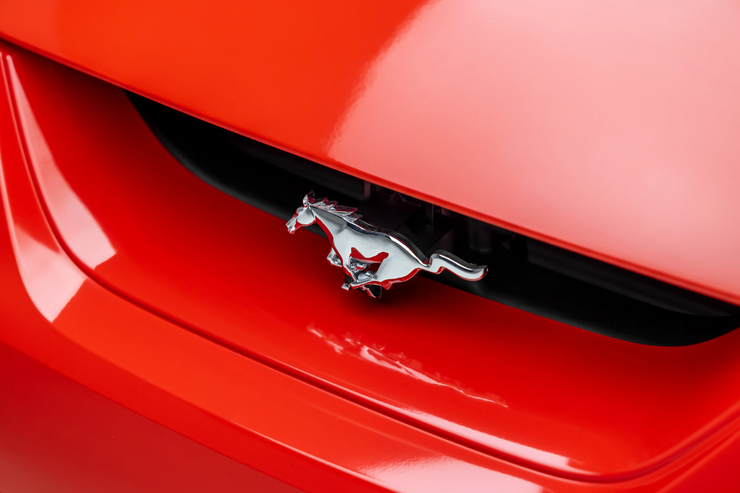 2000 Ford Mustang Cobra R