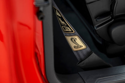 2000 Ford Mustang Cobra R