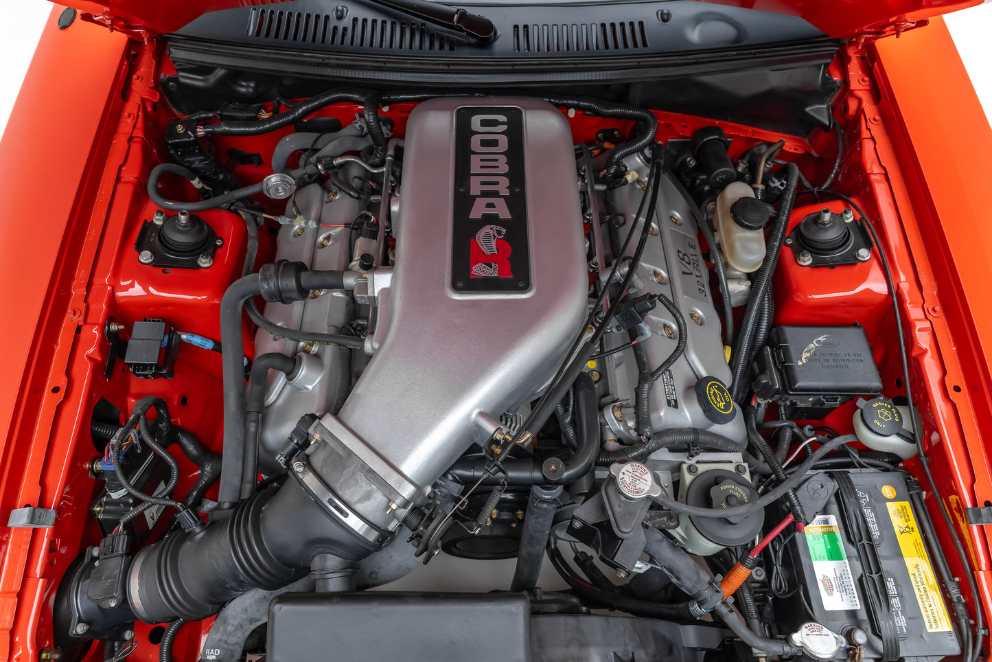 2000 Ford Mustang Cobra R