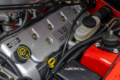 2000 Ford Mustang Cobra R