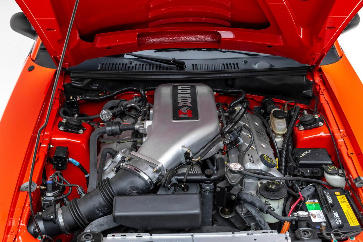 2000 Ford Mustang Cobra R