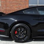 2016 Ford Mustang Shelby GT350R for sale