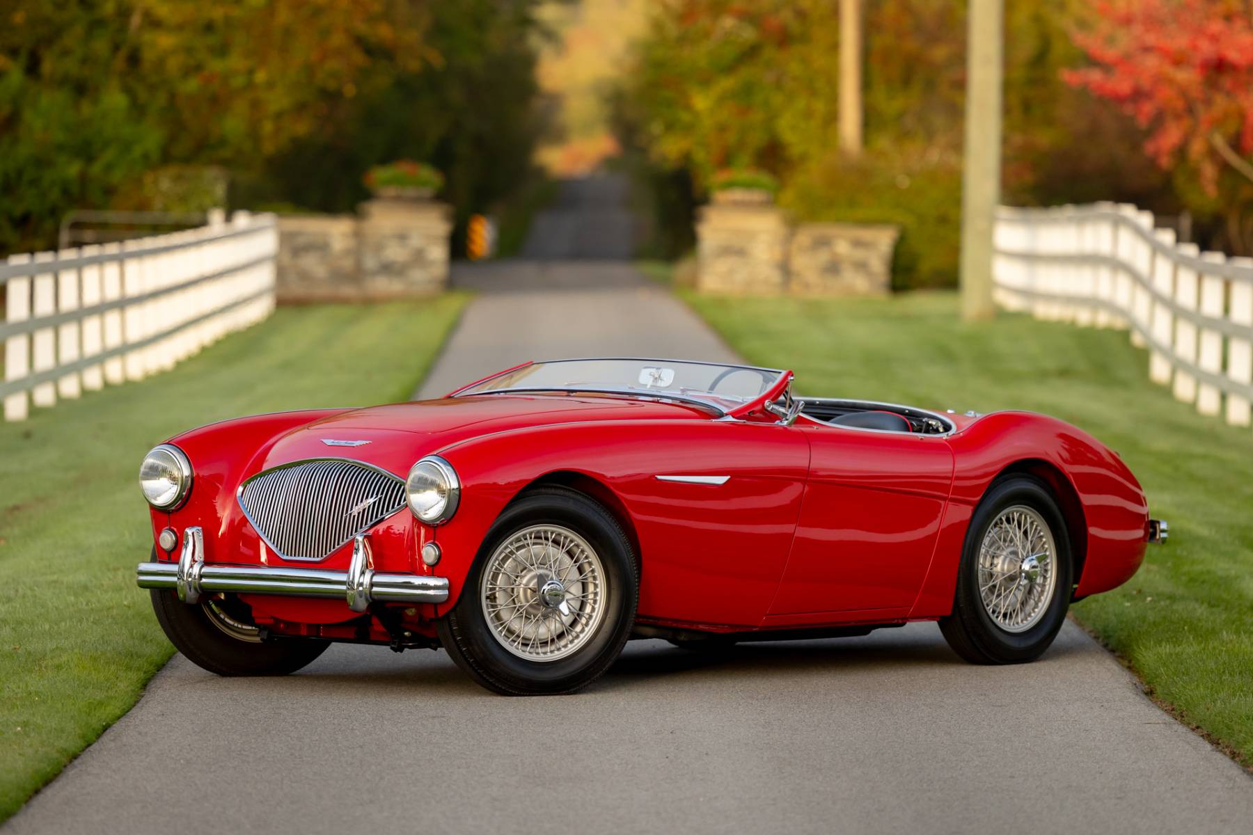 1955 Austin Healey BN2 for sale