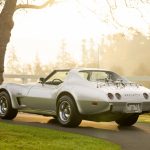 1975 Chevrolet Corvette L-82 for sale